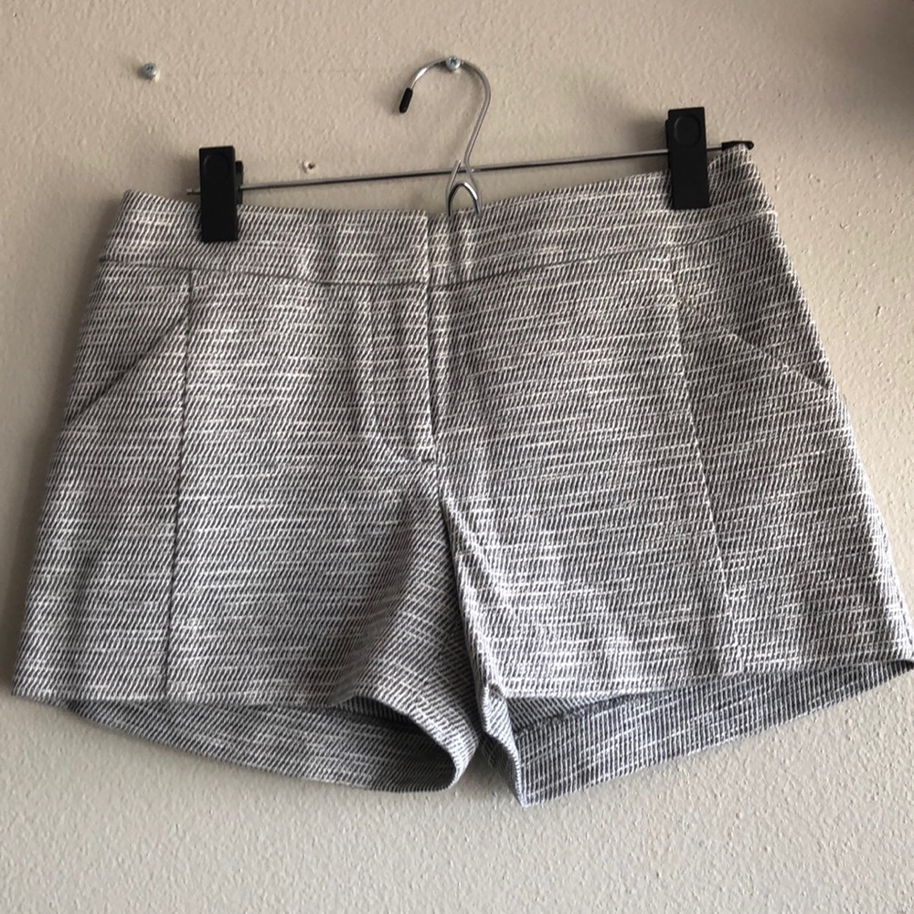 Loft Shorts